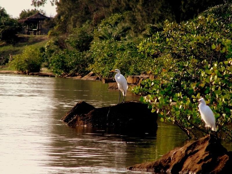 paisagem-barra-nova-espirito-santo-02