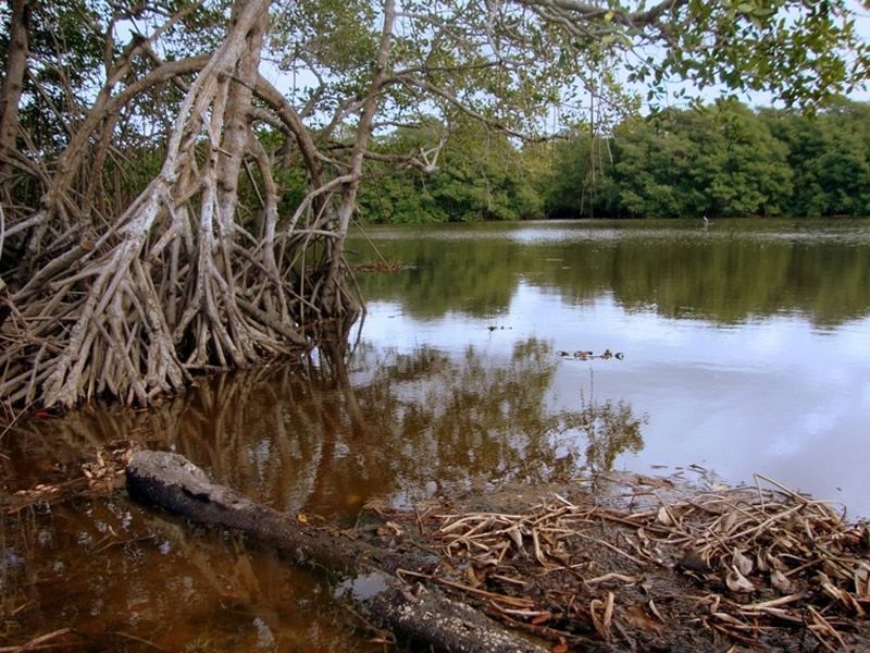 paisagem-barra-nova-espirito-santo-05