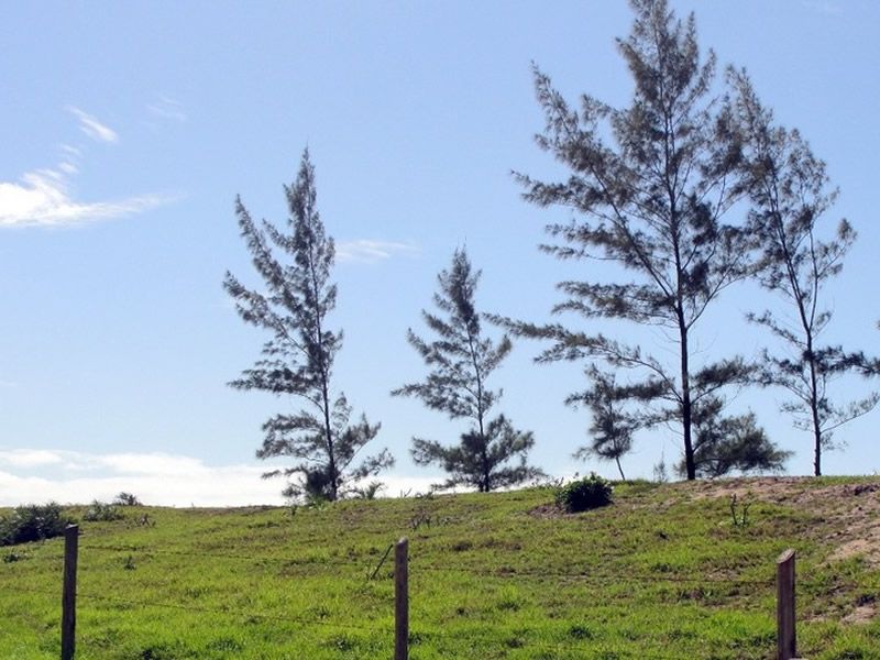 paisagem-barra-nova-espirito-santo-08